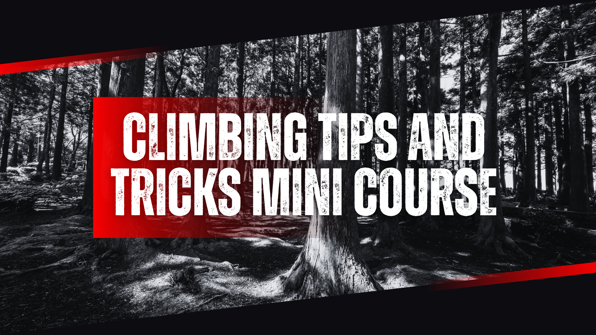 Climbing Tips and Tricks Mini Course